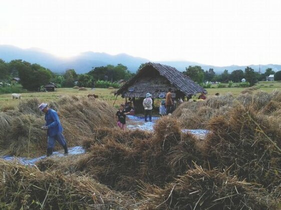 Thai-Zen Farmstay - Photo4