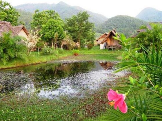 Yawning Fields Guesthouse - Photo3