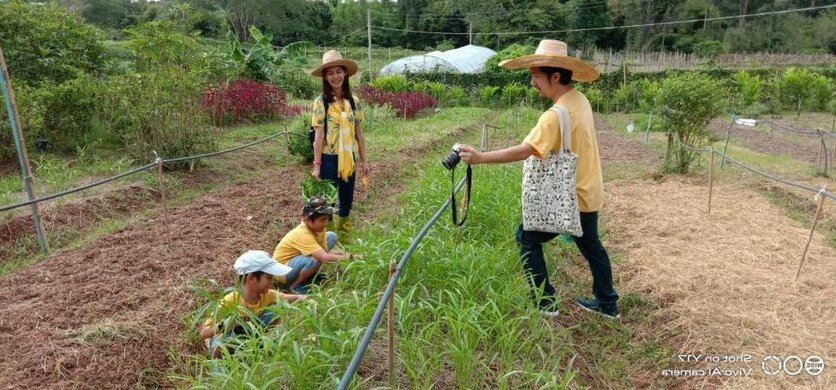 Kongkarn Resort and Farmstay - Photo3