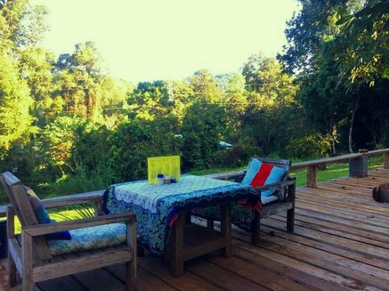 Jungle Guesthouse - Photo2