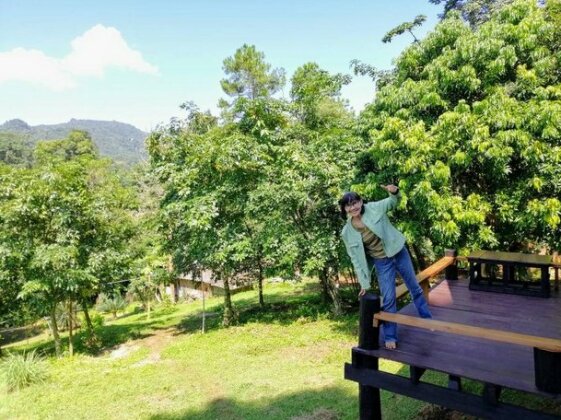 Jungle Guesthouse - Photo3