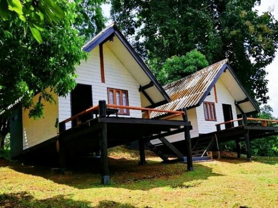 Jungle Guesthouse - Photo4