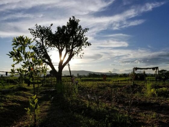 Chicken Star Homestay - Photo2