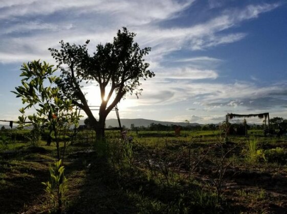 Chicken Star Homestay - Photo2