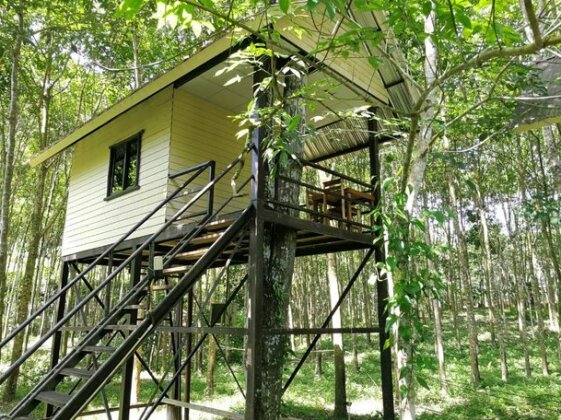 Back to the Trees Camp - Photo2
