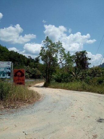 Back to the Trees Camp - Photo3