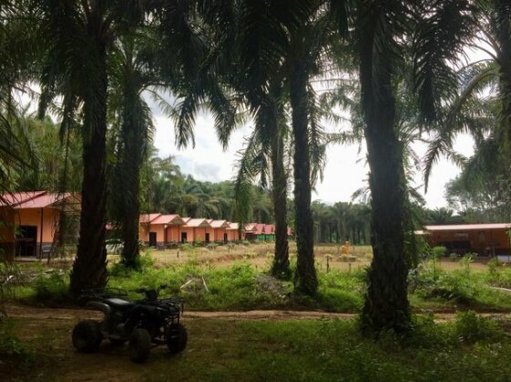 Khao Sok Evergreen House - Photo2