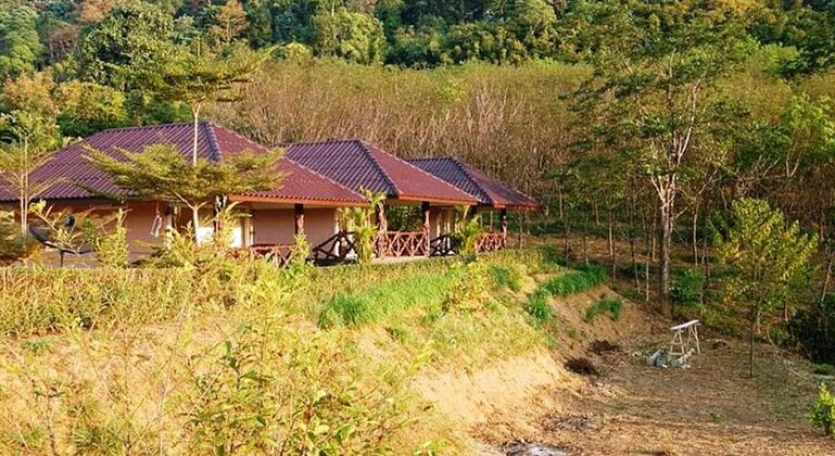 Khao Sok Hill Top Resort - Photo3