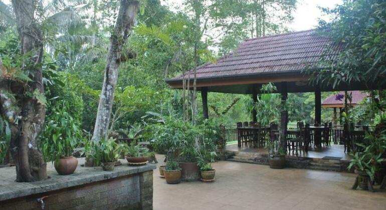 Khao Sok Nature Resort - Photo4
