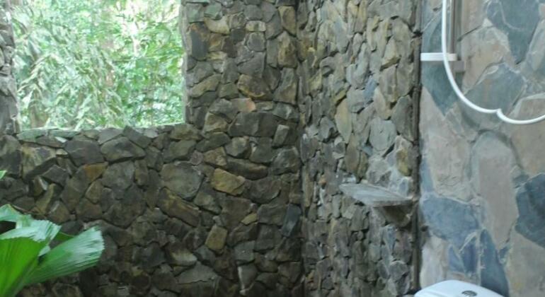 Khao Sok Nature Resort - Photo5