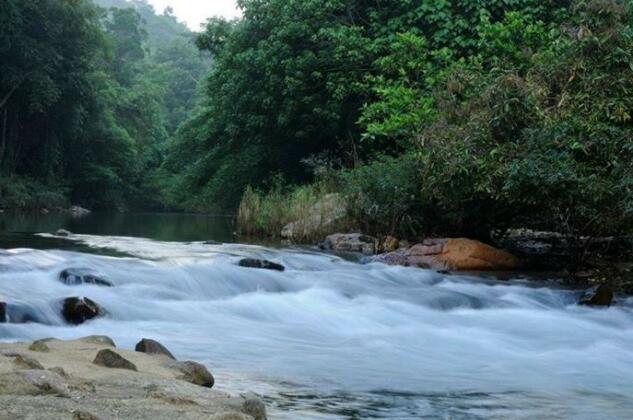 Khaosok Rainforest Resort - Photo3
