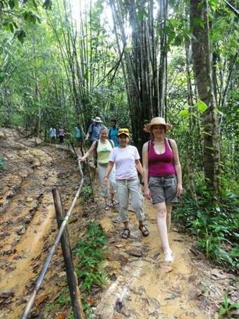 Khaosok Rainforest Resort - Photo4