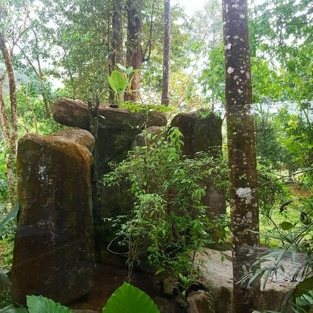 Khaosok Rimtarn Poshtel - Photo4