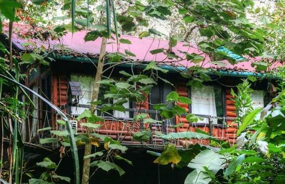 Khaosok Treehouse Resort - Photo3