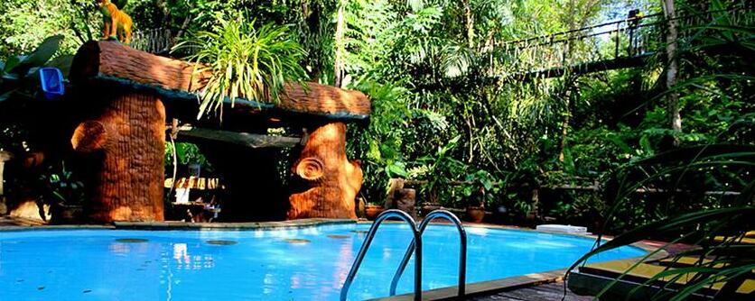 Khaosok Treehouse Resort - Photo4