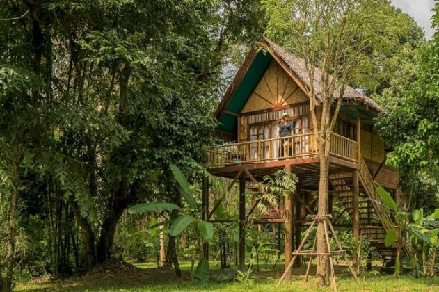 Our Jungle Camp - Eco Resort - Photo2