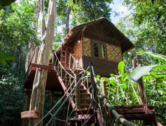 Our Jungle House - Photo2