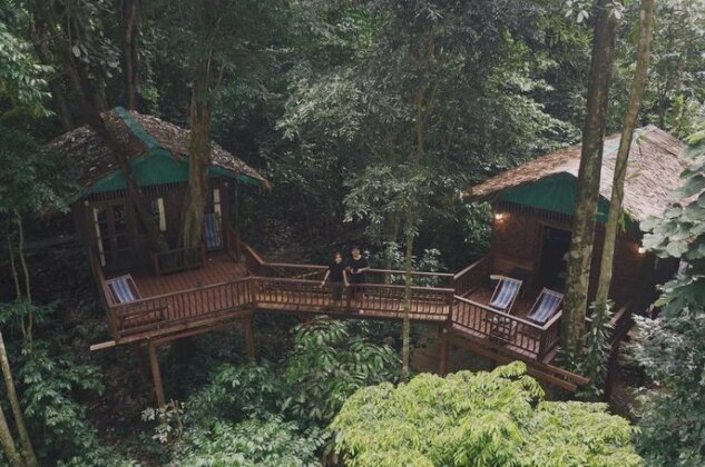 Our Jungle House - Photo5