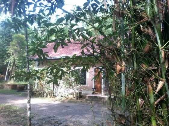 Suan Bang Bon B&B - INN - Photo3