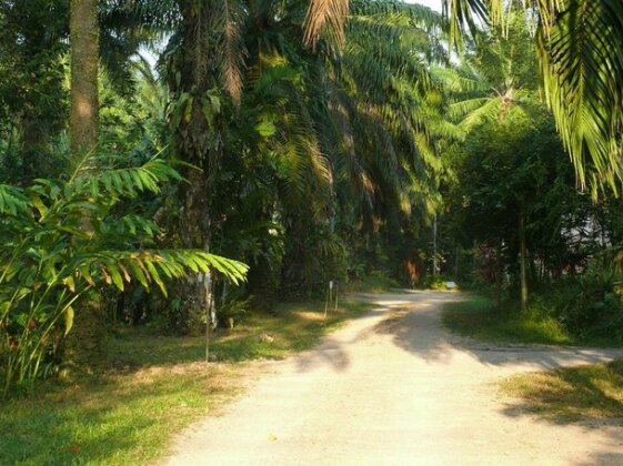 Suan Bang Bon B&B - INN - Photo4