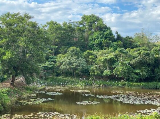 Bann sukjai Ranong - Photo5