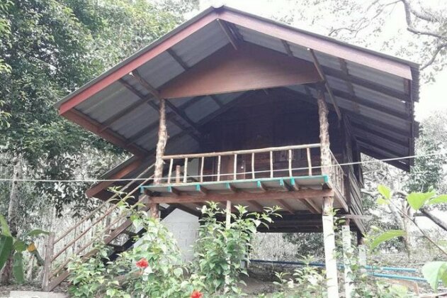 Rasta House - Photo4