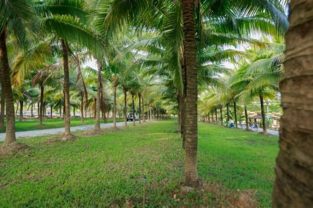 Coconut Resort - Photo3