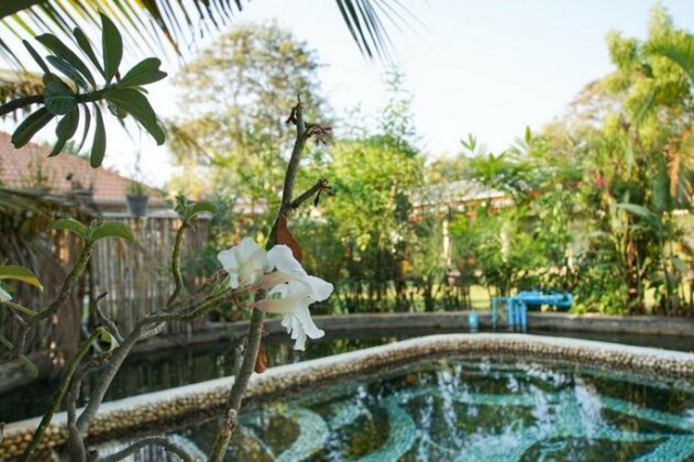 Tina's Living Paradise - Photo2