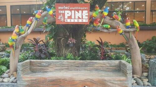 The Pine Resort