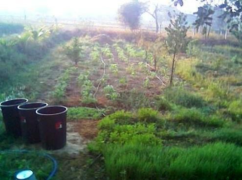 Good Earth Agriculture - Photo2