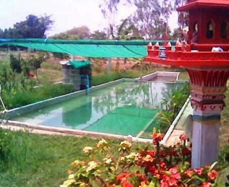 Good Earth Agriculture - Photo3