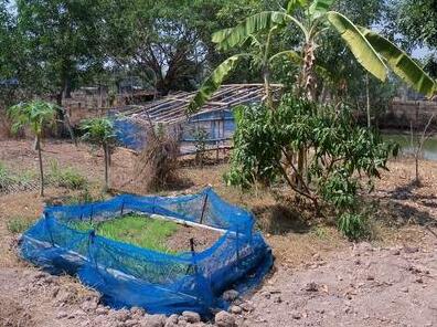 Good Earth Agriculture - Photo5