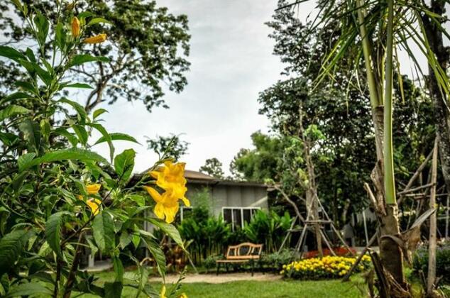 Tree Space Chiangmai Resort - Photo5