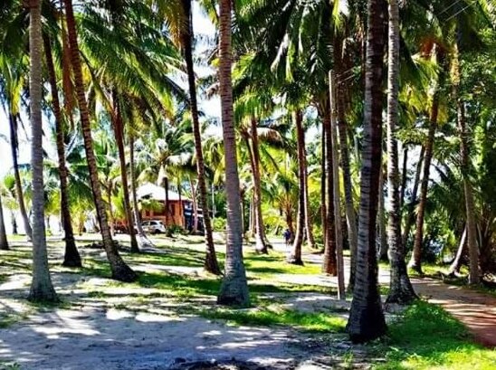 Natural High Beach Cafe and Homestay - Photo2