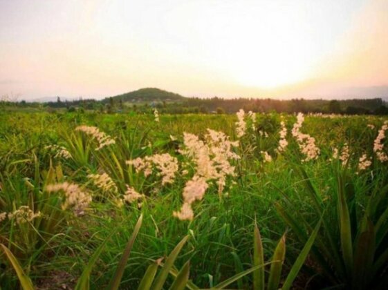Baanrai Areeya - Photo4