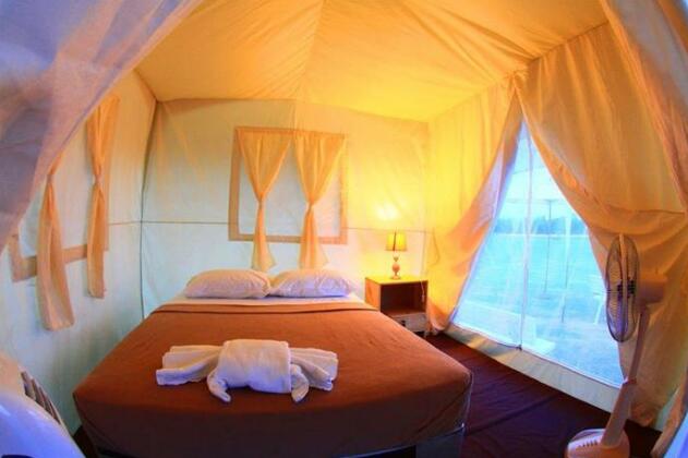 The Camping Field - Photo3