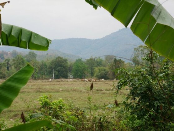 Doi Fah Homestay - Photo4