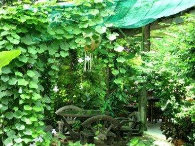 Lotus Village - Photo5