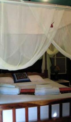 Orchid Hibiscus Guest House - Photo3