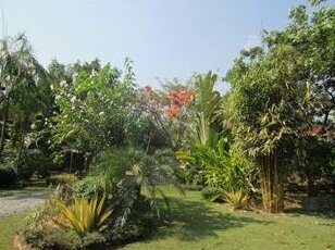 Suwan Guesthouse And Resort - Photo2