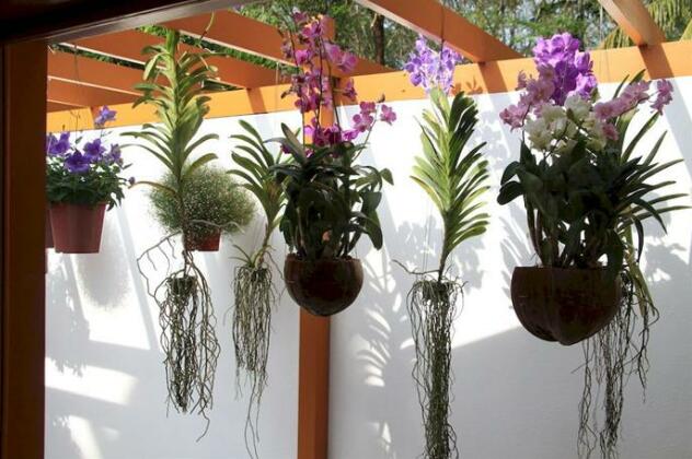 De Chom Villa - Photo5