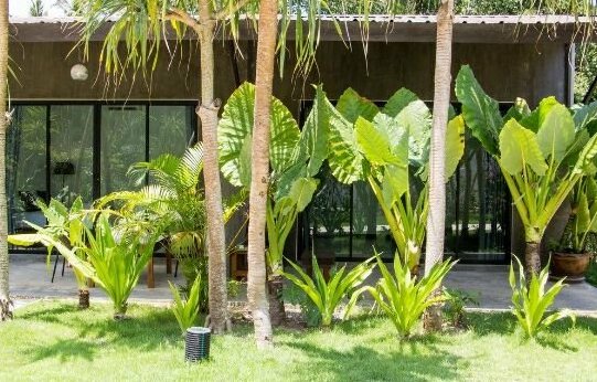 Natai House - Photo2