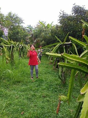 Ton Had Resort Bor Saen - Photo3