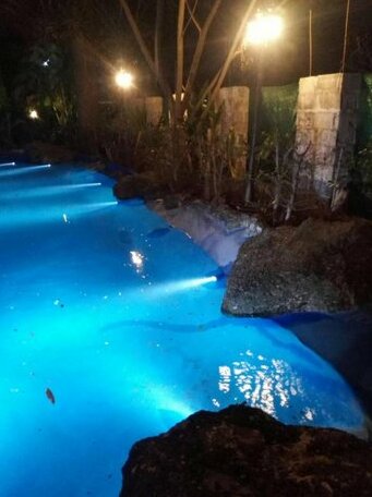 Harmony Resort and Apollo swimming pool - Photo4