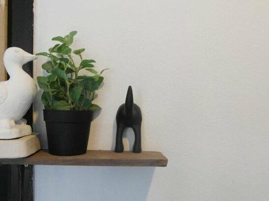 The Goose Cafe & Hostel - Photo5