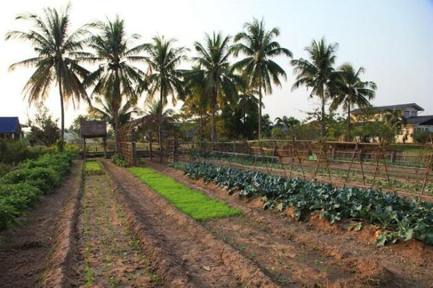 The Ricefields Hotel - Photo5