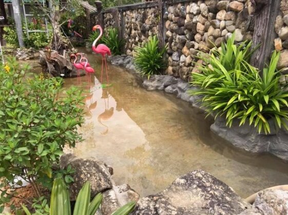 Sabai sabai resort Waeng - Photo2