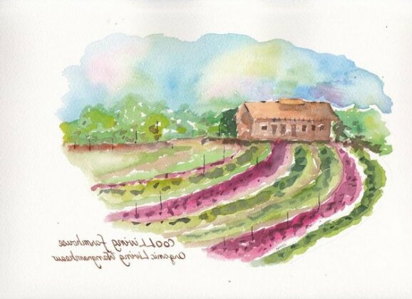 COOLLiving Farmhouse Organic - Photo2