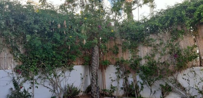 Villa avec piscine Midoun - Photo4