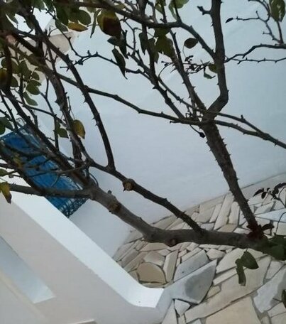 Petite Villa Avec Jardin - Photo5